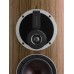 Настенная акустика DALI Rubicon LCR Black