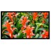 Экран на раме Elite Screens R135WH1