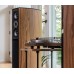 Напольная акустика Jamo D590 SE Black Ash